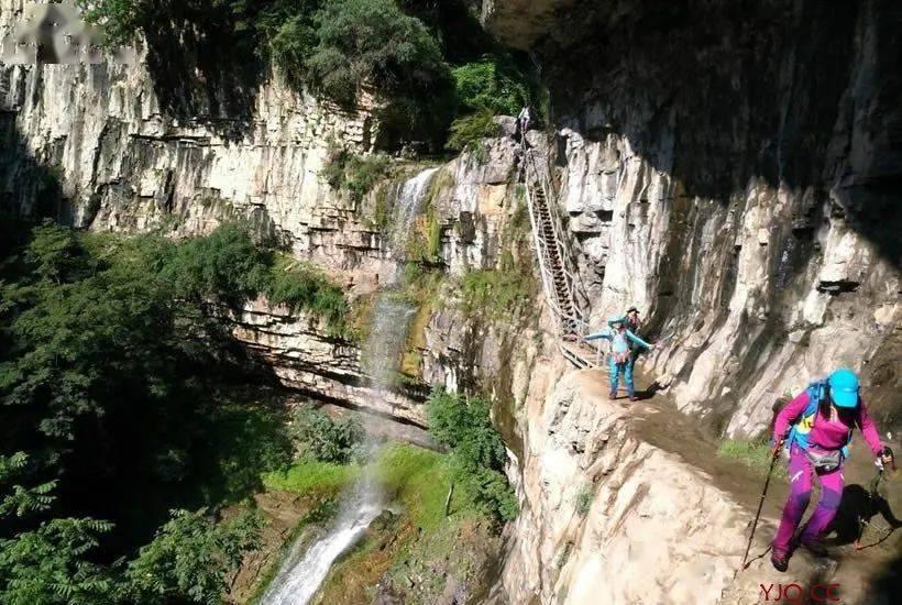 泰勒斯，万物有灵论与灵魂观念的创始人